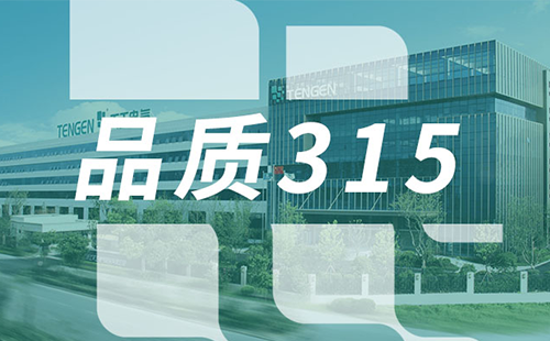 品质315，正点游戏树立断路器品控标杆